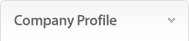 Company Profile